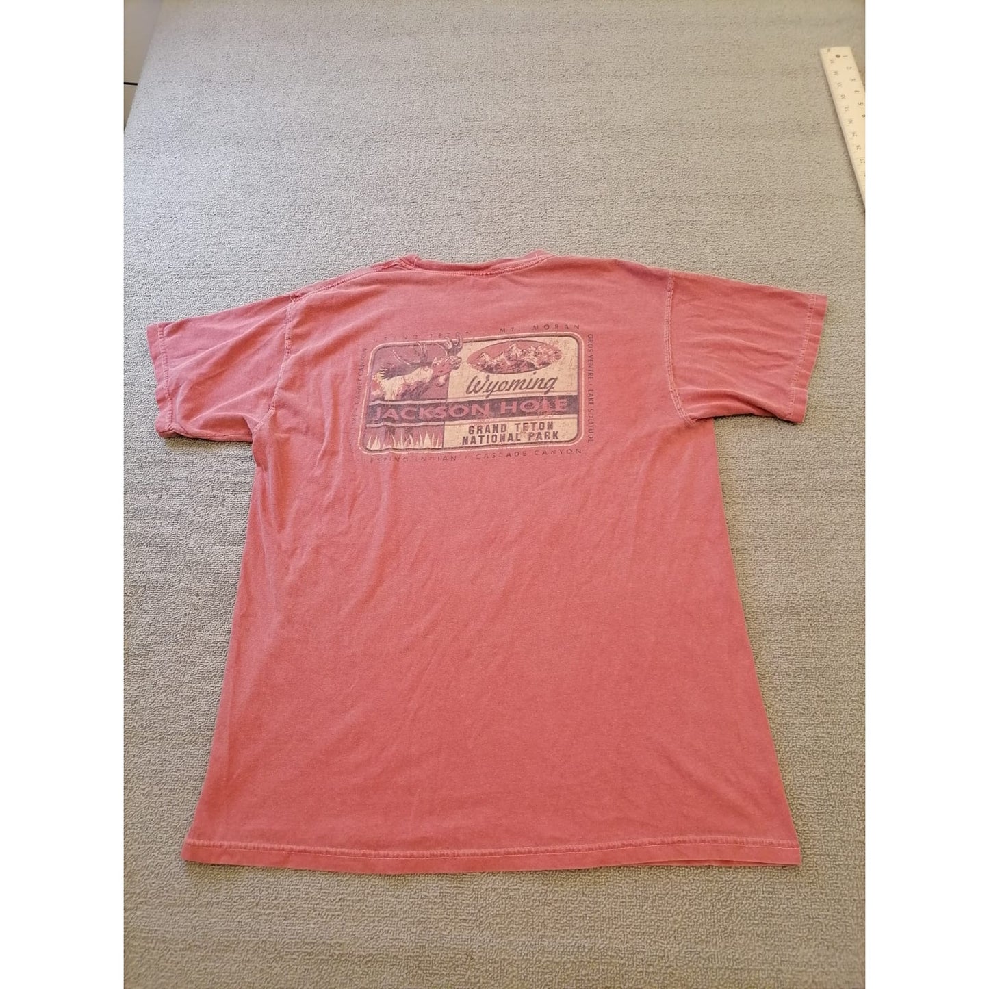 Comfort Colors Male Large Salmon Tee Jackson Hole Wyoming Graphic Casual Cotton