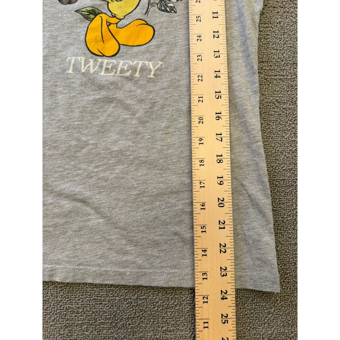 Tweety Bird Looney Tunes Womans Small Gray Short Sleeve T-Shirt