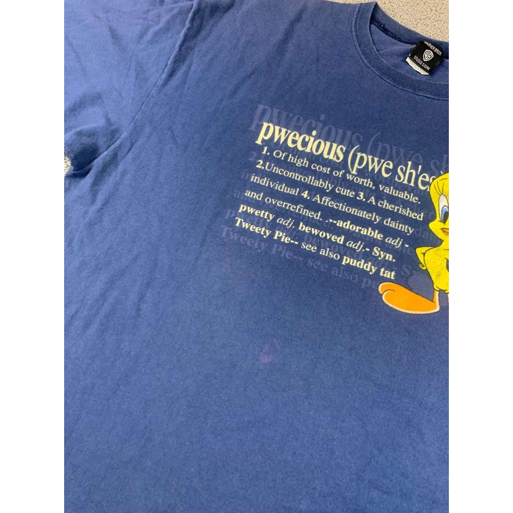 Vintage Warner Bros Studio Men’s 2XL Blue Tweety Bird Crewneck T Shirt USA Made