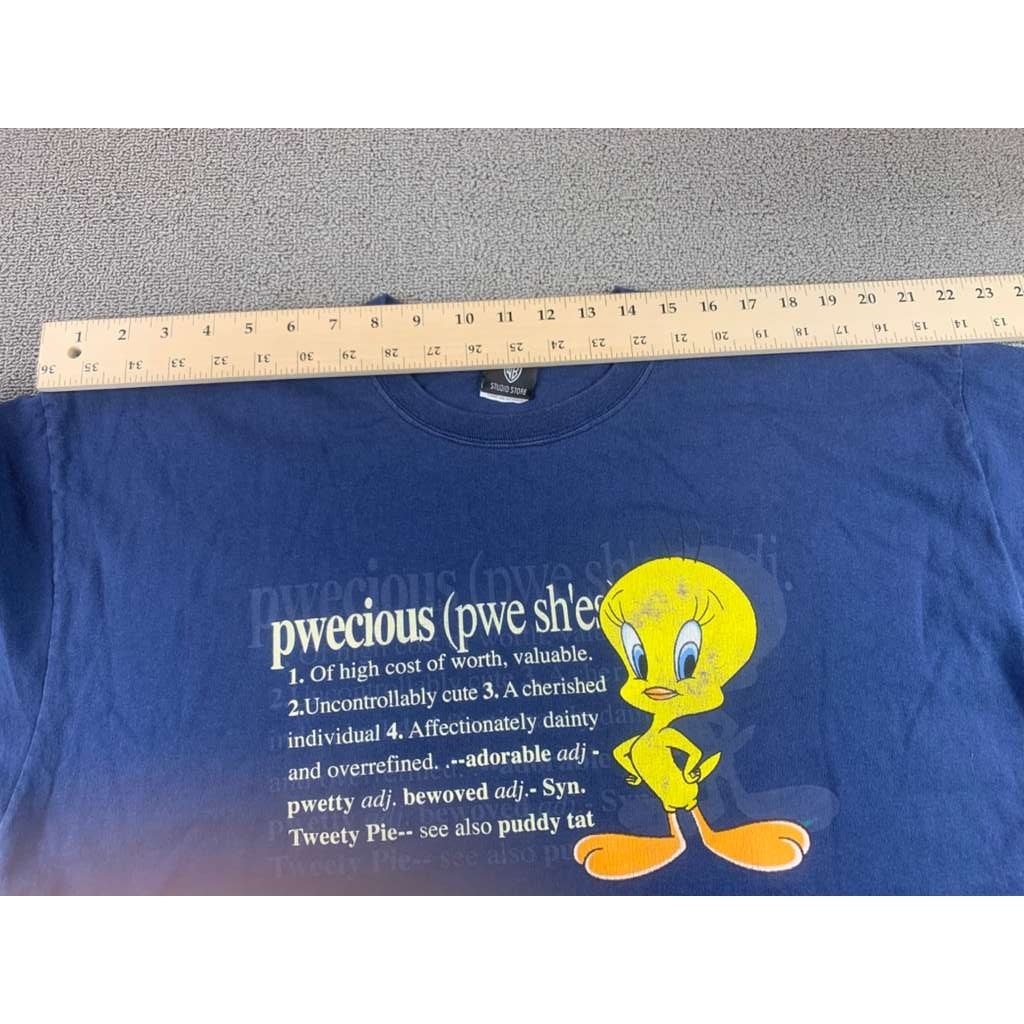 Vintage Warner Bros Studio Men’s 2XL Blue Tweety Bird Crewneck T Shirt USA Made