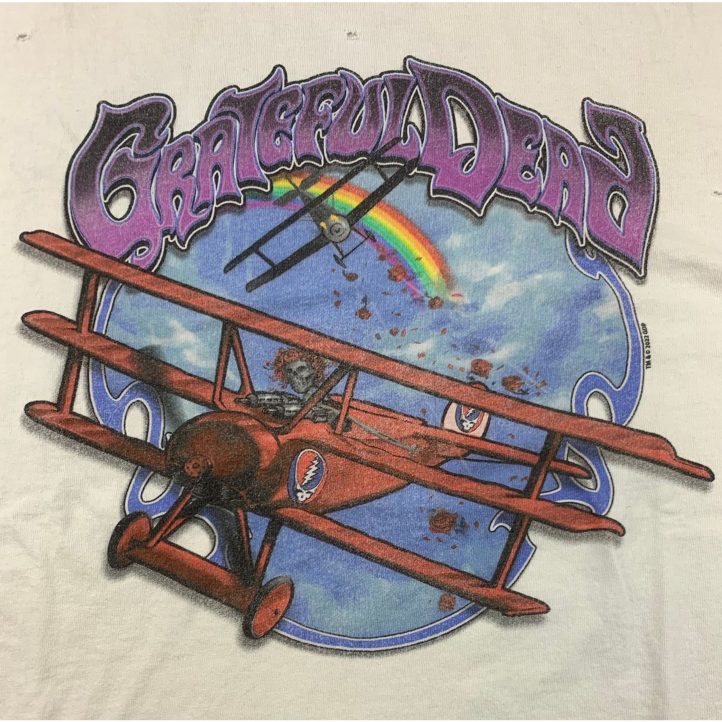 The Grateful Dead SANDRINE ROSE Women's Medium T-shirt White Distresses Holes