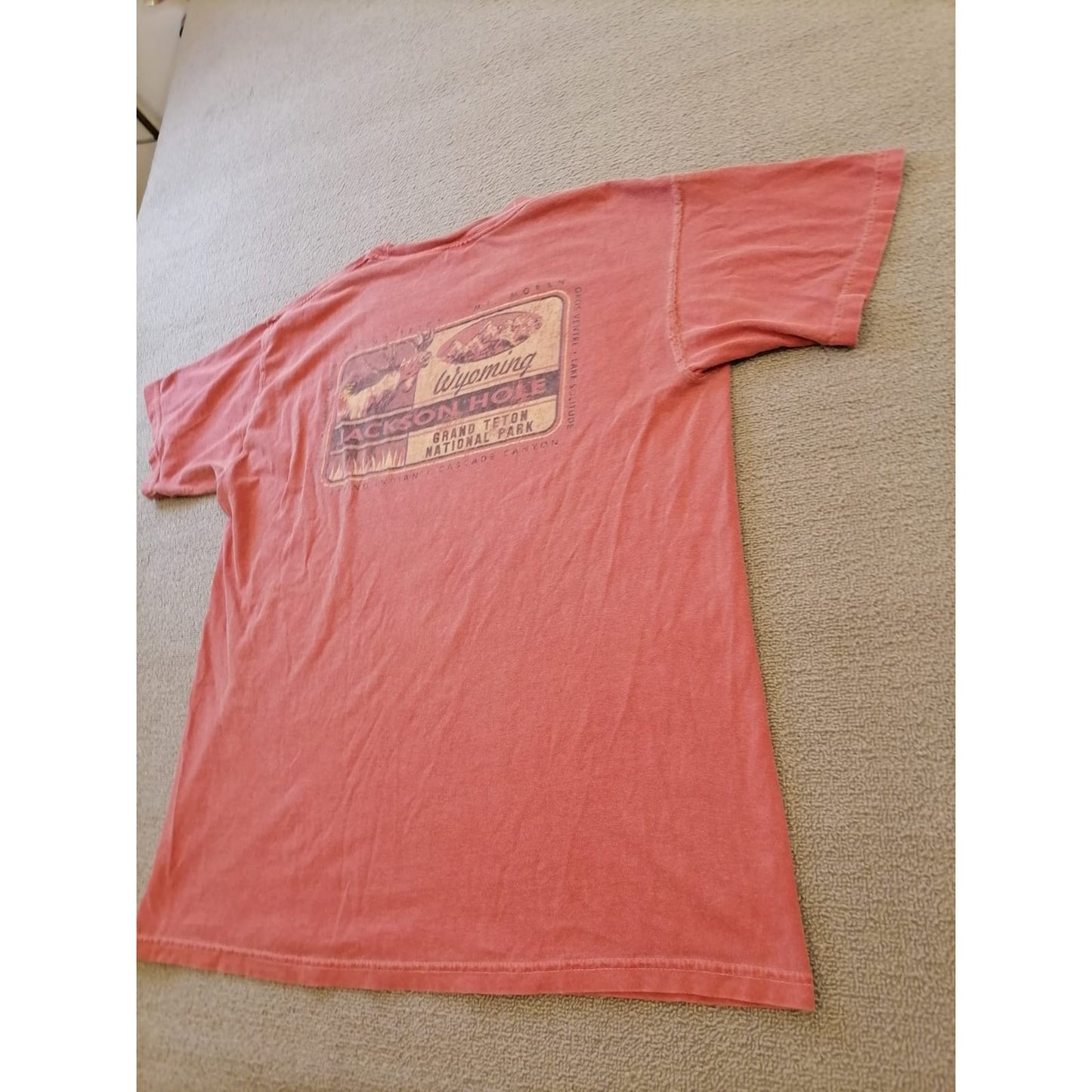 Comfort Colors Male Large Salmon Tee Jackson Hole Wyoming Graphic Casual Cotton
