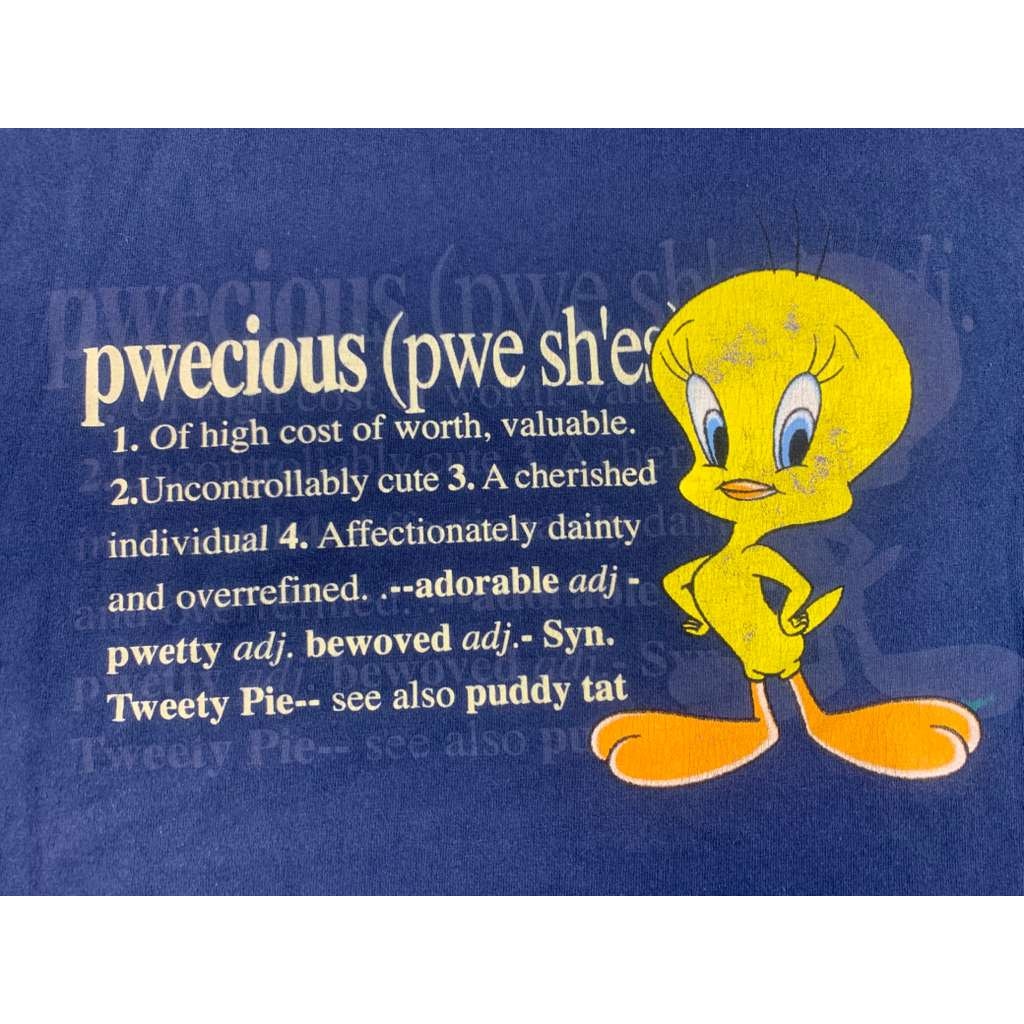 Vintage Warner Bros Studio Men’s 2XL Blue Tweety Bird Crewneck T Shirt USA Made