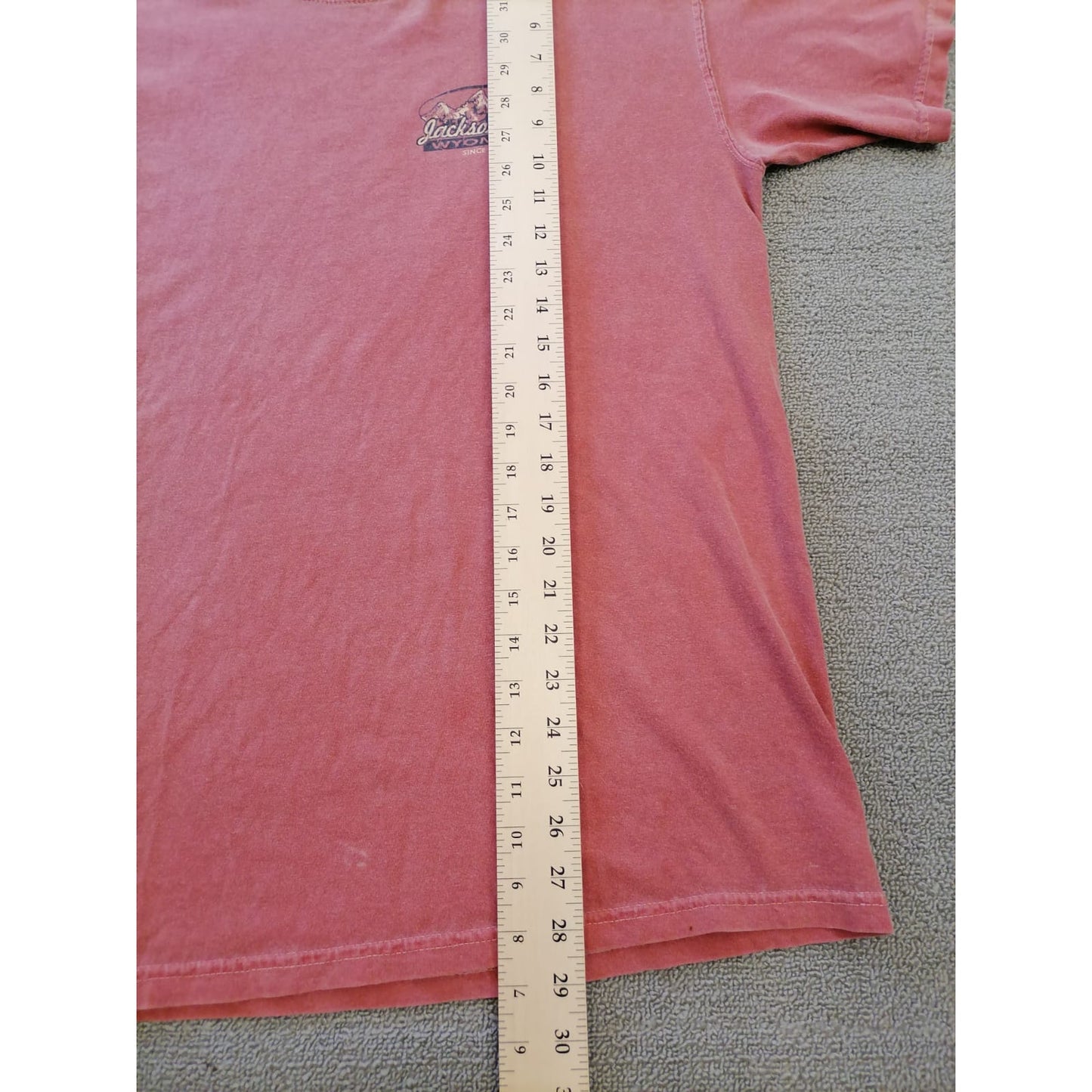 Comfort Colors Male Large Salmon Tee Jackson Hole Wyoming Graphic Casual Cotton