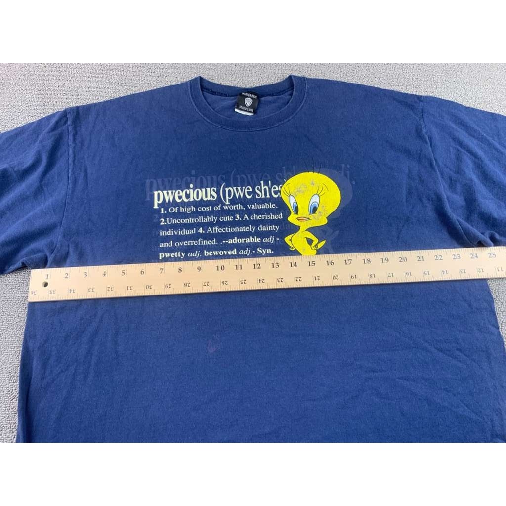 Vintage Warner Bros Studio Men’s 2XL Blue Tweety Bird Crewneck T Shirt USA Made