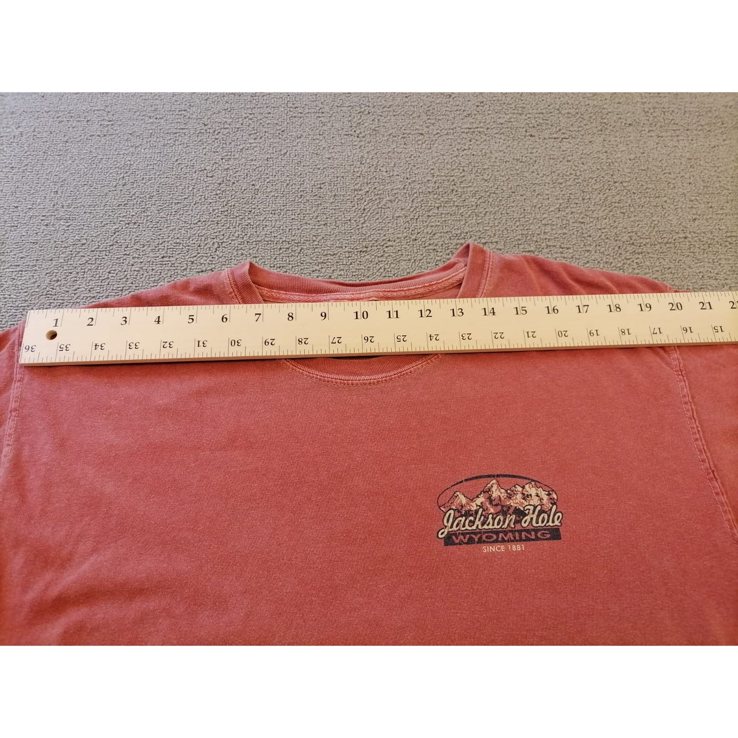 Comfort Colors Male Large Salmon Tee Jackson Hole Wyoming Graphic Casual Cotton