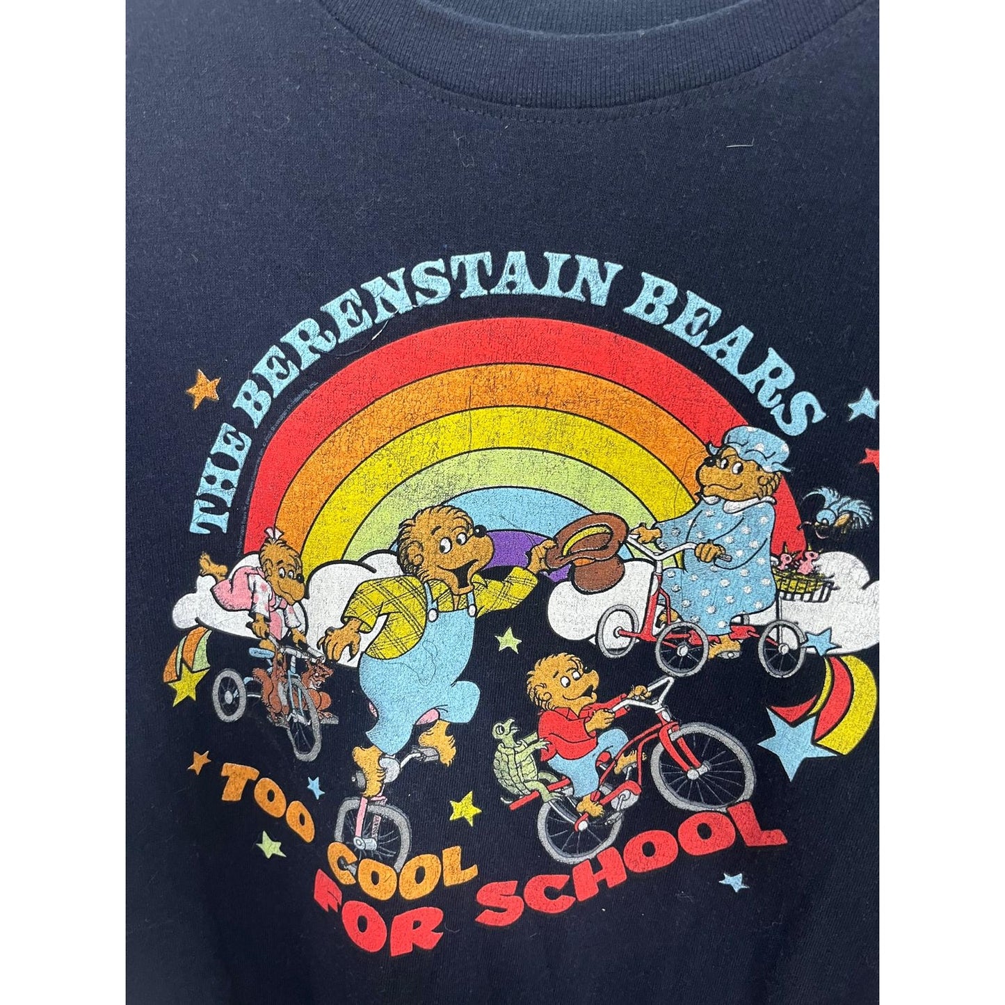 The Berenstain Bears Graphic T-Shirt Women Medium Rainbow Retro Cartoon Tee