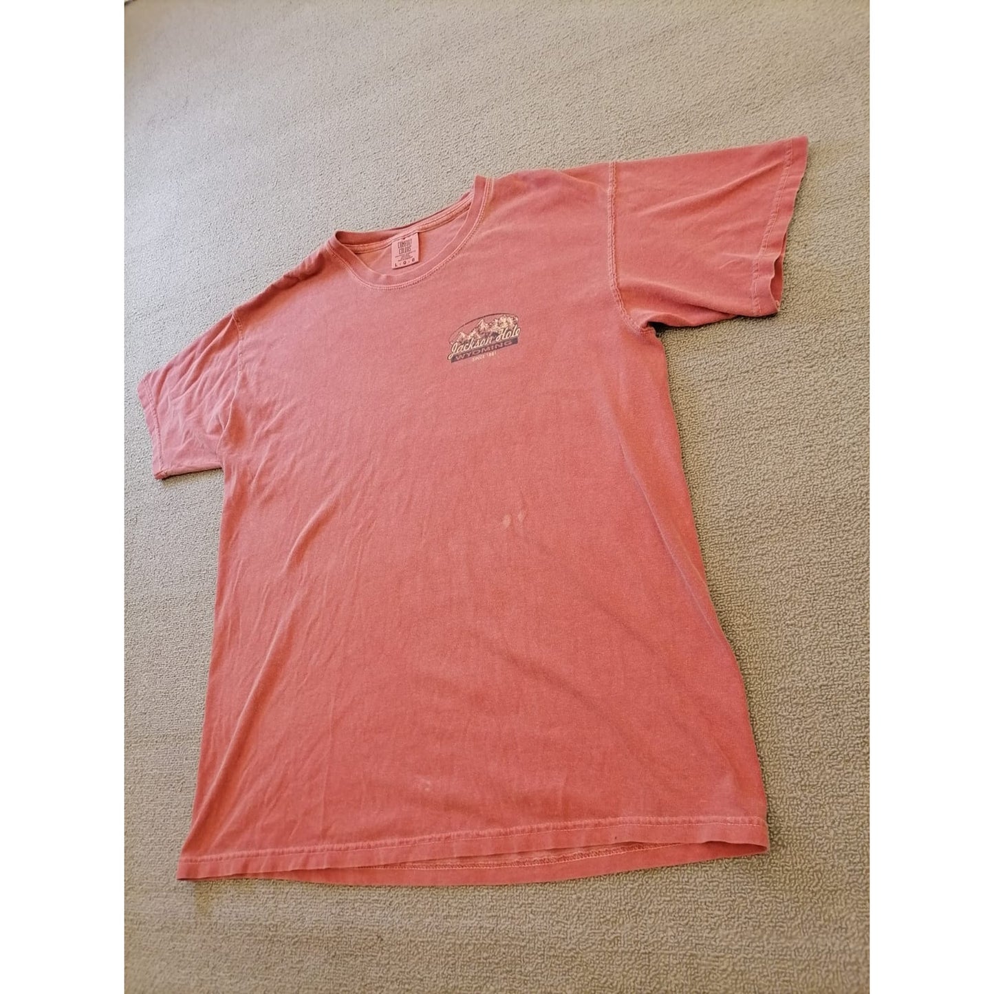 Comfort Colors Male Large Salmon Tee Jackson Hole Wyoming Graphic Casual Cotton