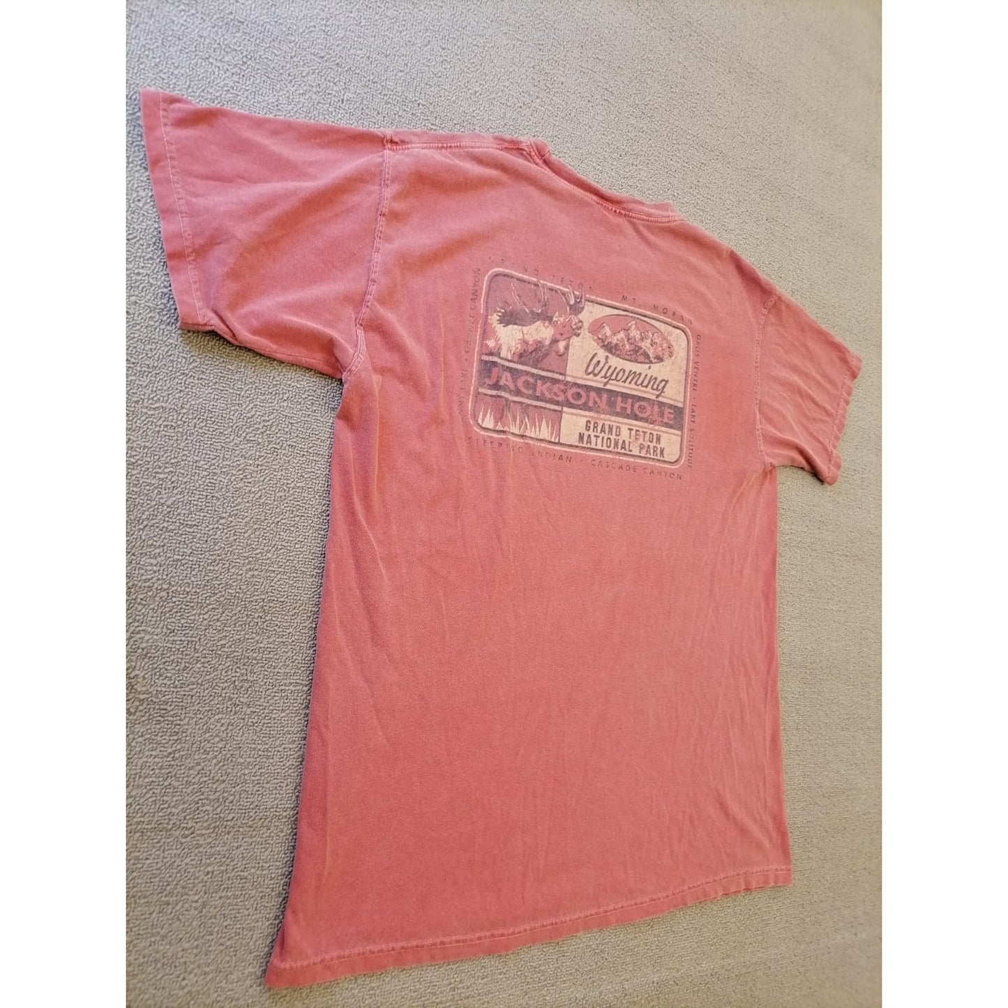 Comfort Colors Male Large Salmon Tee Jackson Hole Wyoming Graphic Casual Cotton