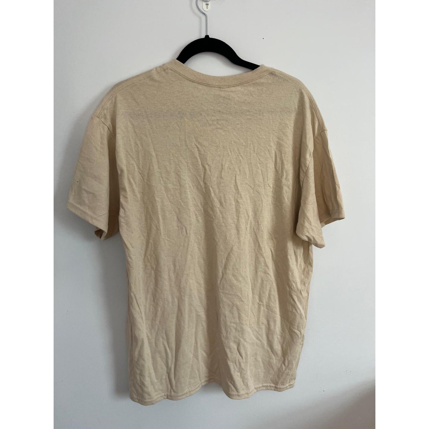 Lynyrd Skynyrd T-Shirt Men L Beige Rock Eagle Flag Guitar Graphic Band Tee