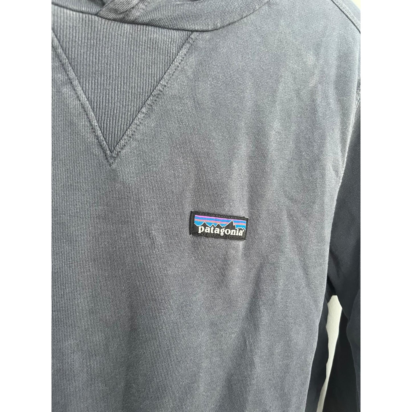 Patagonia Hoodie Men S Blue Organic Cotton Pullover Sweatshirt