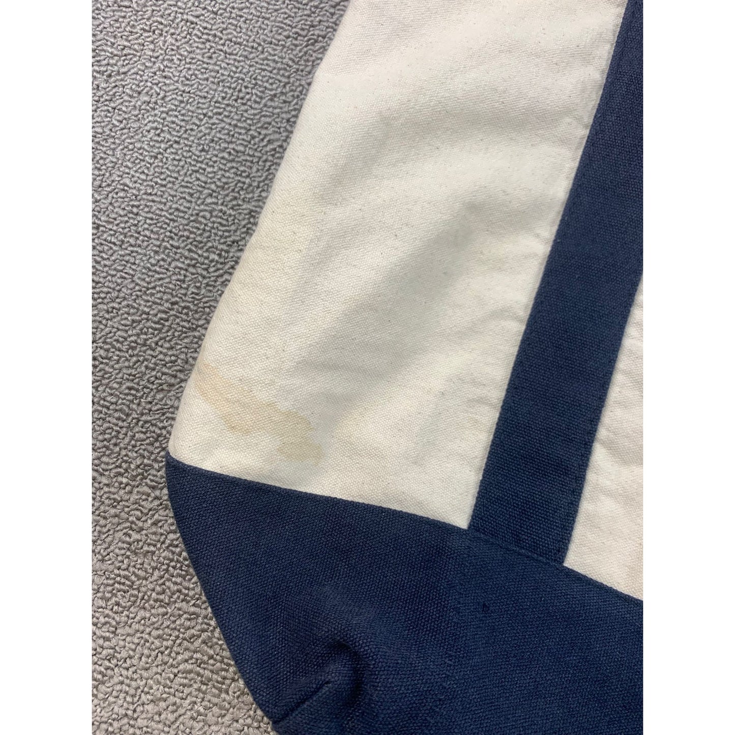 Trader Joe's Women One Size Blue And White Canvas Tote Bag Grocery Bag