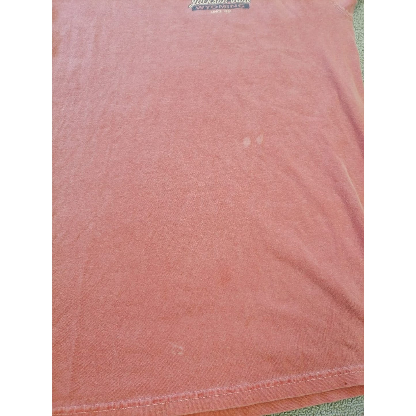Comfort Colors Male Large Salmon Tee Jackson Hole Wyoming Graphic Casual Cotton