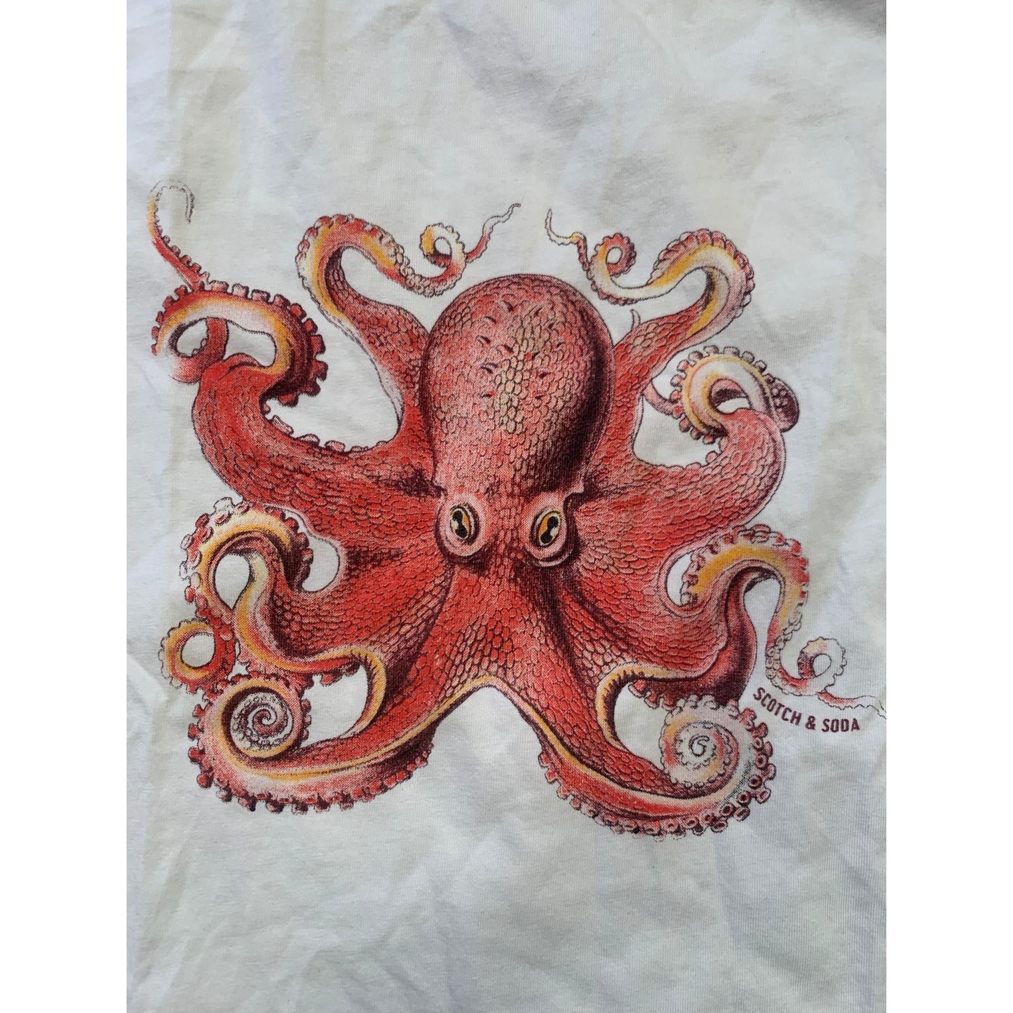 Scotch & Soda Girls 12Y /152 White "It's All Good" Octopus Graphic T-shirt