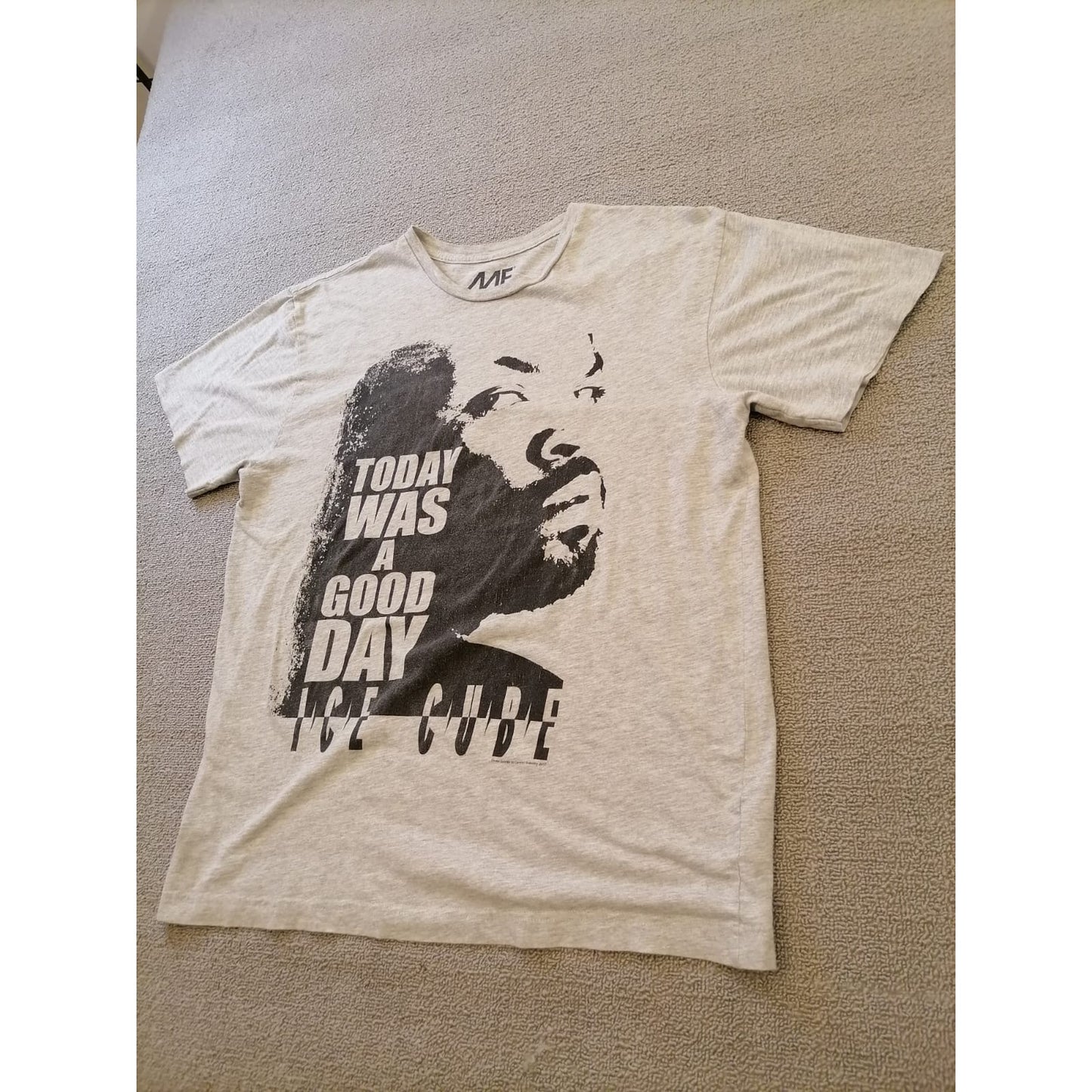 MF Mens L Ice Cube "Today Was A Good Day" Graphic T-Shirt Gray Hip Hop Tee